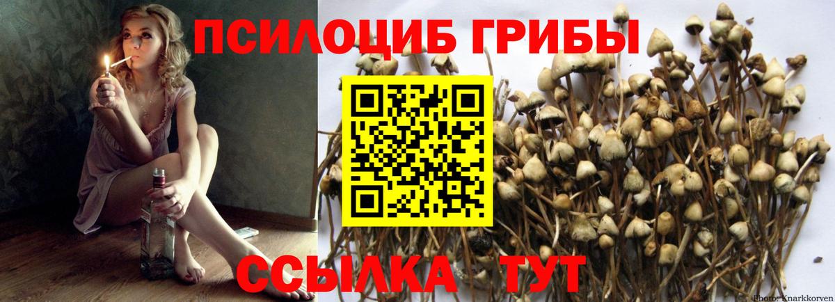 Лыткарино  Псилоцибиновые грибы мухоморы  Вход с VPN 